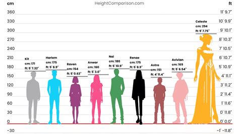 164cm In Feet