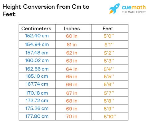 166.5 Cm In Feet