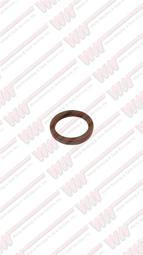 16924 Halı ve Koltuk Yıkama