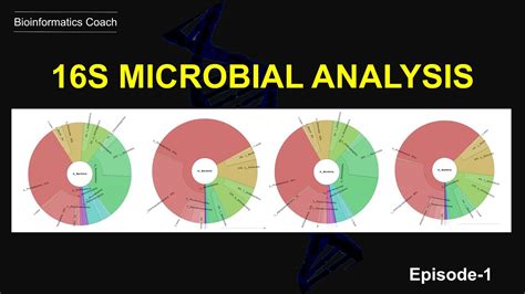 16s Metagenomic Analysis Tutorial Max Planck Society