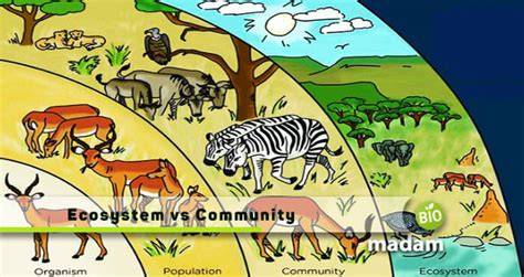 17| Community and Ecosystem Ecology - University of … - raincitystudios.com