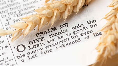 17 Bible stories about gratitude to inspire thanksgiving