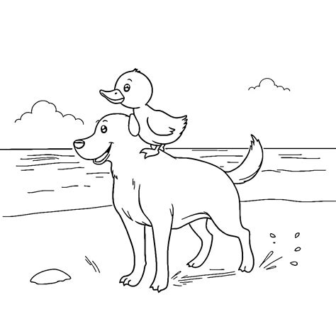 17 Ducky Coloring Pages Printable Coloring Pages