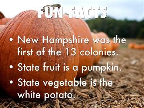 17 Fun Facts about New Hampshire - Fact City