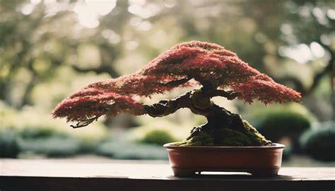 17 Most Popular Bonsai Trees - Smart Garden and Home - raincitystudios.com