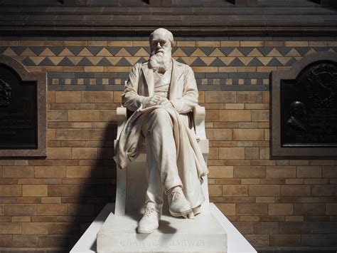 17 Scientific Discoveries Made by Amateurs - muktibox.com