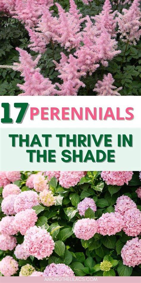 17 Tall Shrubs for Shade: The Varieties To Consider - raincitystudios.com