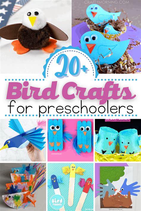 17 Fun Bird Activities For Preschoolers To Spark Parts Of Birds For Kindergarten - Parts Of Birds For Kindergarten