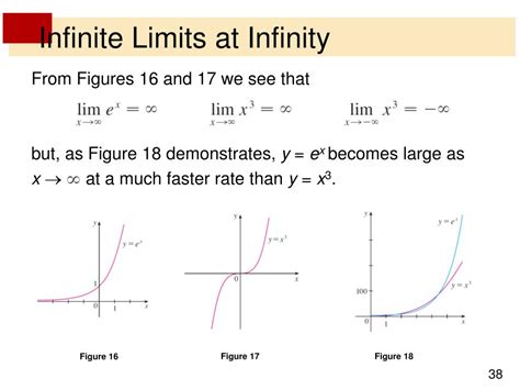 17 Infinite Limits And Limits At Infinity Homework