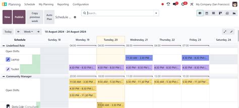 17 Planning Guide For Identity And Access Management