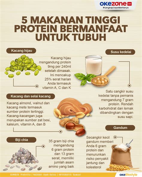17 Rekomendasi Makanan Tinggi Protein Untuk Yang Bagus Makanan Berprotein Tinggi - Makanan Berprotein Tinggi