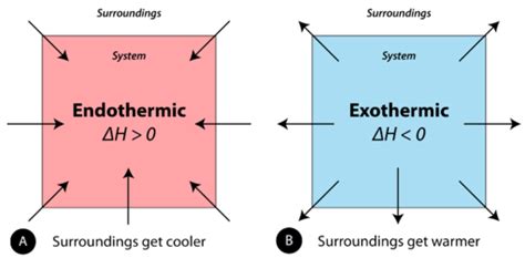 17.3: Exothermic and Endothermic Processes - wintechmobiles.com