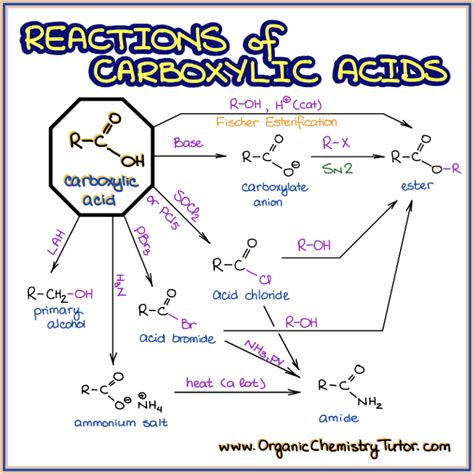 17.3: Reactions of Carboxylic Acids - Ester and Amide Formation - wintechmobiles.com