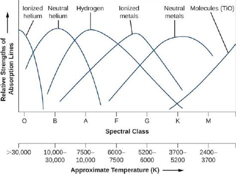 17.3 The Spectra of Stars (and Brown Dwarfs) - OpenStax - wintechmobiles.com
