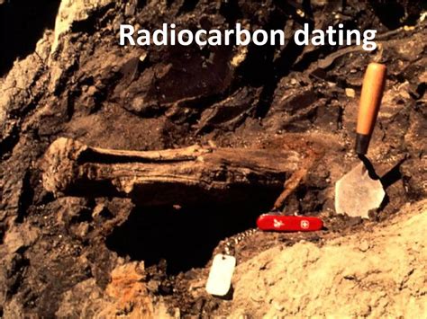 17.6: Radiocarbon Dating- Using Radioactivity to Measure the Age of ... - wintechmobiles.com