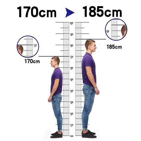 170 Cm In Height