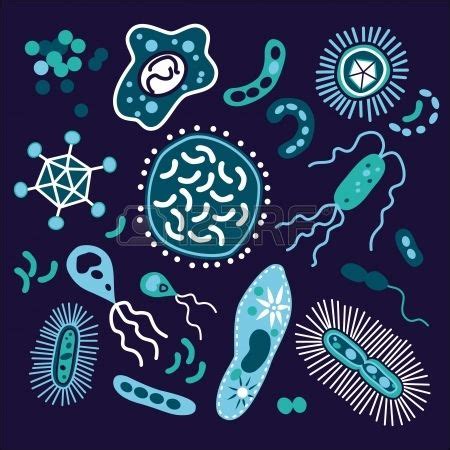 172,854 Organism Stock Photos and Images - 123RF