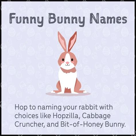 173 Bunny Names To Make a Rabbit Proud To Call a Hutch Home