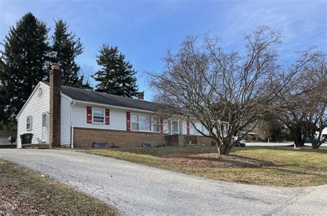 17356 Halı ve Koltuk Yıkama