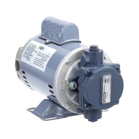 17439 Halı ve Koltuk Yıkama