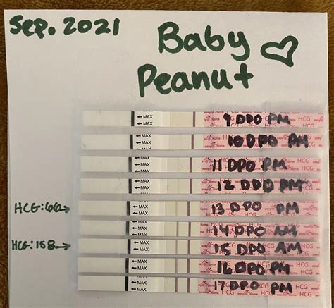 17dpo hcg levels. If accidentally ingested please seek medical advice and for any further questions contact our careline at 1-800-321-3279. Clearblue® Rapid Detection Pregnancy Test has been designed to offer you the easiest pregnancy testing experience, with the accuracy you expect from Clearblue® - and a pregnant result as fast as 1 minute when testing ... 