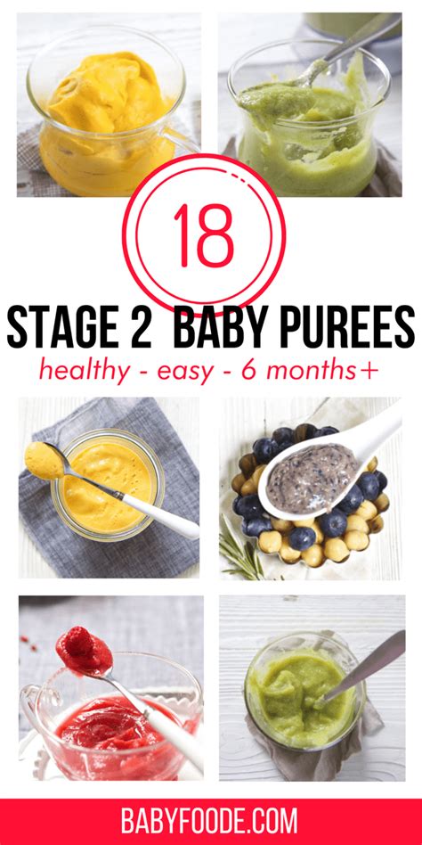 18 Amazing Stage 2 Baby Food Purees (6-8 months) Baby Foode