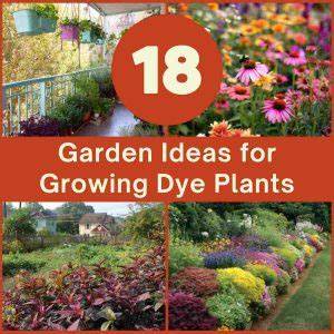 18 Creative Garden Ideas for Growing Natural … - raincitystudios.com