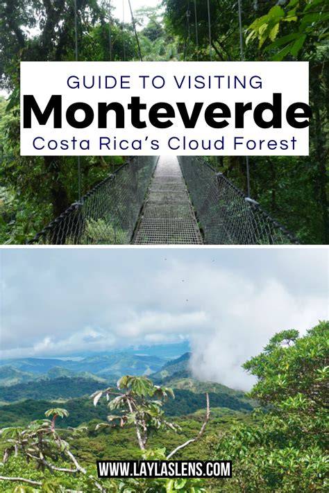 18 Things to KNOW Before Visiting Monteverde Cloud Forest - raincitystudios.com