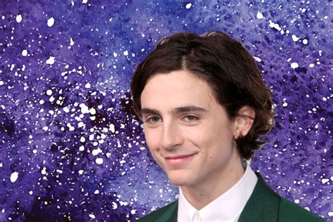 18 Things to Know About Timothée Chalamet - Hey Alma