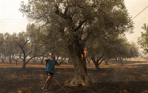 18 bodies found in Greece as firefighters battle wind-driven wildfires across the country