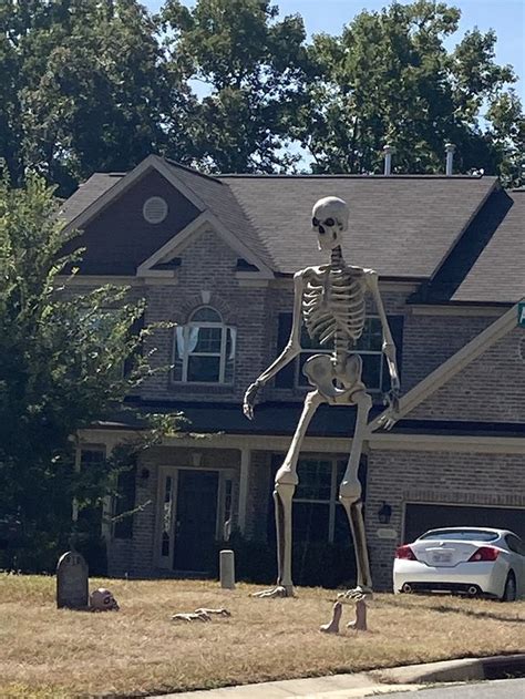 5.4 Ft Halloween Skeleton, Life Size Realistic Human Bones, PP Material, Seven Adjustable Joints, Can Be Suspended From Ceiling, Suitable For Halloween Or Prank Themes. by The Holiday Aisle®. $136.99 $159.99. ( 6) . 