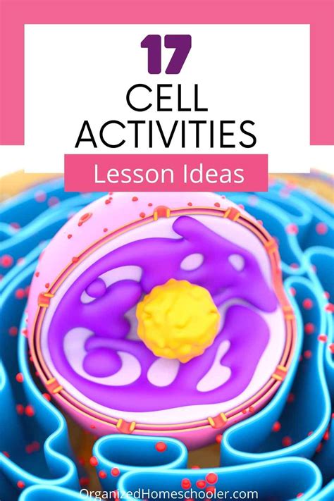 18 Fun Cell Activities For Middle School The Cell Activities For 5th Grade - Cell Activities For 5th Grade