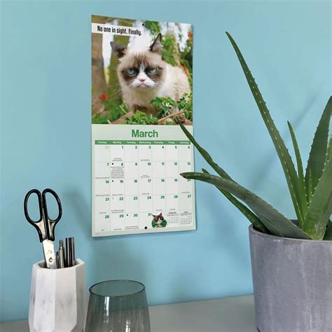 18 Grumpy Cat Mini Calendar Day Dream
