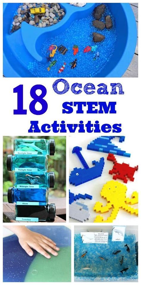 18 Ocean Stem Projects For Kids Kc Edventures Marine Science Experiment Ideas - Marine Science Experiment Ideas