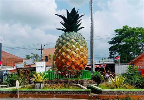 Cara klaim asuransi rawat jalan mudah dan cepat disetujui