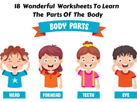18 Wonderful Worksheets To Learn The Parts Of Esl Body Parts Worksheet Kindergarten - Esl Body Parts Worksheet Kindergarten