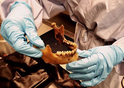 Read Online 18 S Forensic Dentistry Dental School 
