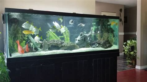 180 Fish Tank