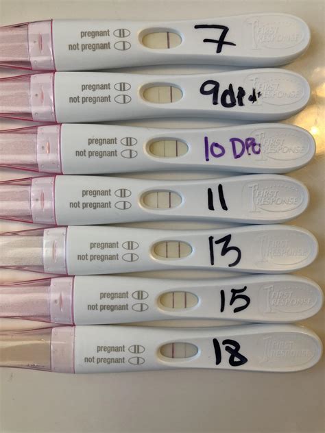Sep 7, 2018 · A: Most urine pregnancy tests are positive within 1-2 days after you miss your period. But even though you tested negative, you still may be pregnant. Here are some reasons for pregnancy tests becoming positive later, even if you are pregnant: A home pregnancy test (HPT) becomes positive only when a certain level of the pregnancy hormone hCG is ... .