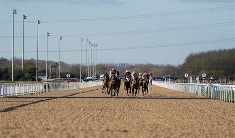 19:00 Southwell Betting Odds Comparison - timeform.com