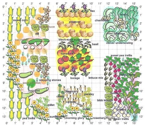 19+ Appealing Companion Planting Chart Inspiratif Design