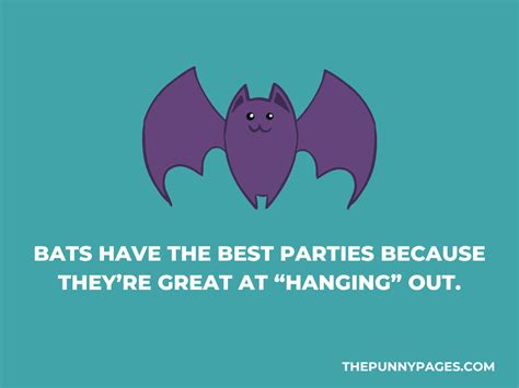 19 Funny Bat Puns That Don