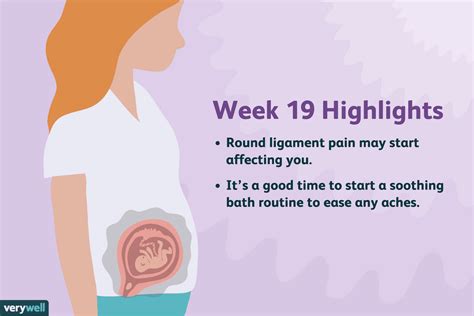 19 Weeks Pregnant: Symptoms, Tips, and More - Healthline