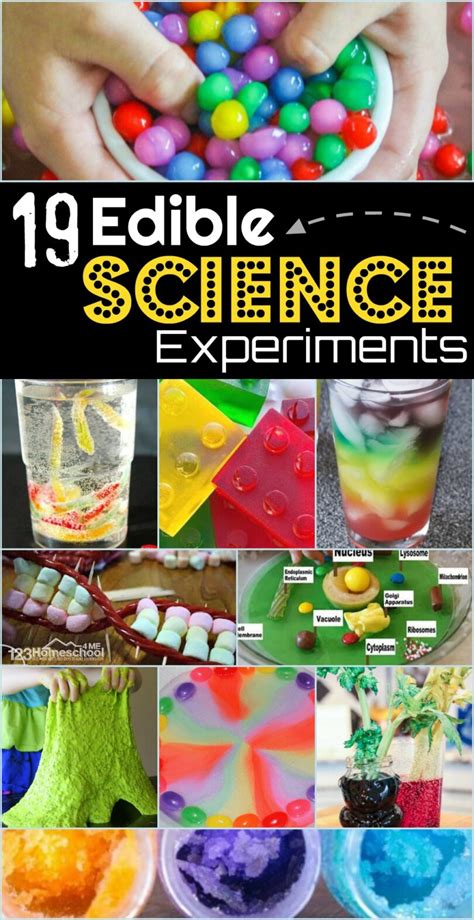 19 Edible Science Experiments 123 Homeschool 4 Me Edible Science Experiments - Edible Science Experiments