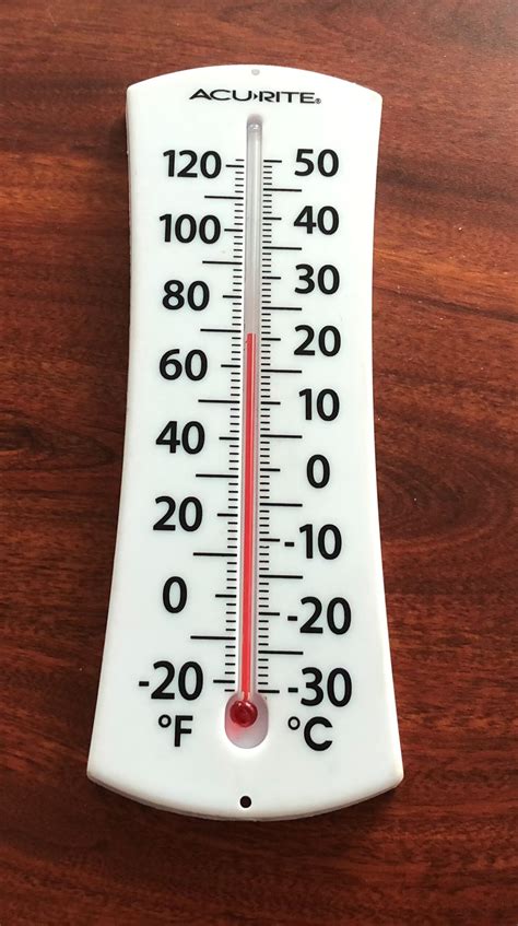 19 Facts About A Thermometer Facts Net Thermometer In Science - Thermometer In Science