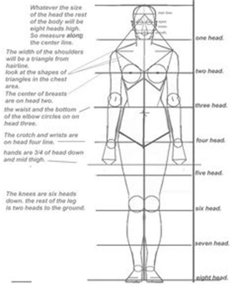 19 idées de Proportions du corps - Pinterest