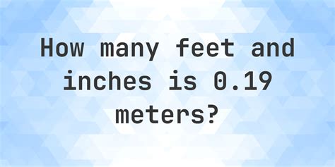 19 Meters Feet