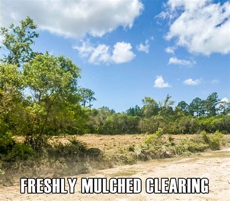 19.55 Acres Vacant Land in Cedar Key, FL (Levy County)