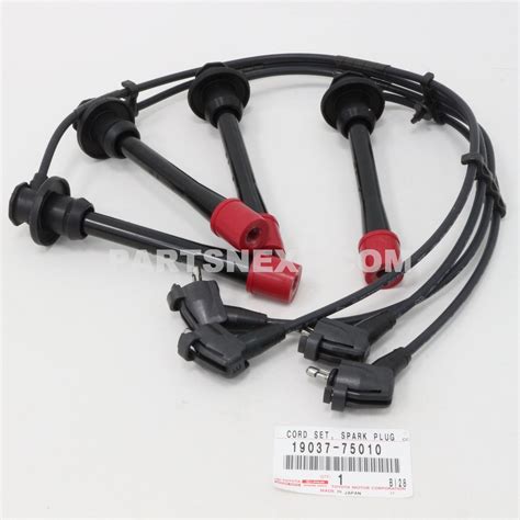 19037 Halı ve Koltuk Yıkama