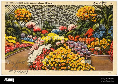 1908, Conservatory, Garfield Park, CHICAGO, Illinois Postcard